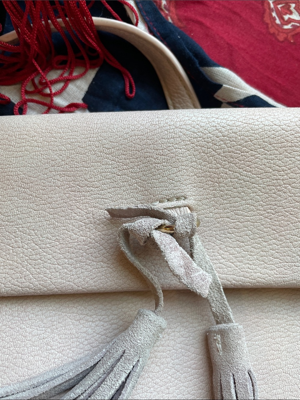 Anthropology Blush Crossbody Crossbody - Stylish Everyday Purse - Picture 2 of 13